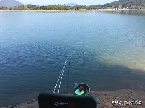 真正牛逼的野钓饵料,钓友2020年推荐公认前十饵料