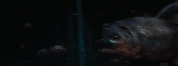 钱小豪巅峰视频,钱小豪最精彩的一场