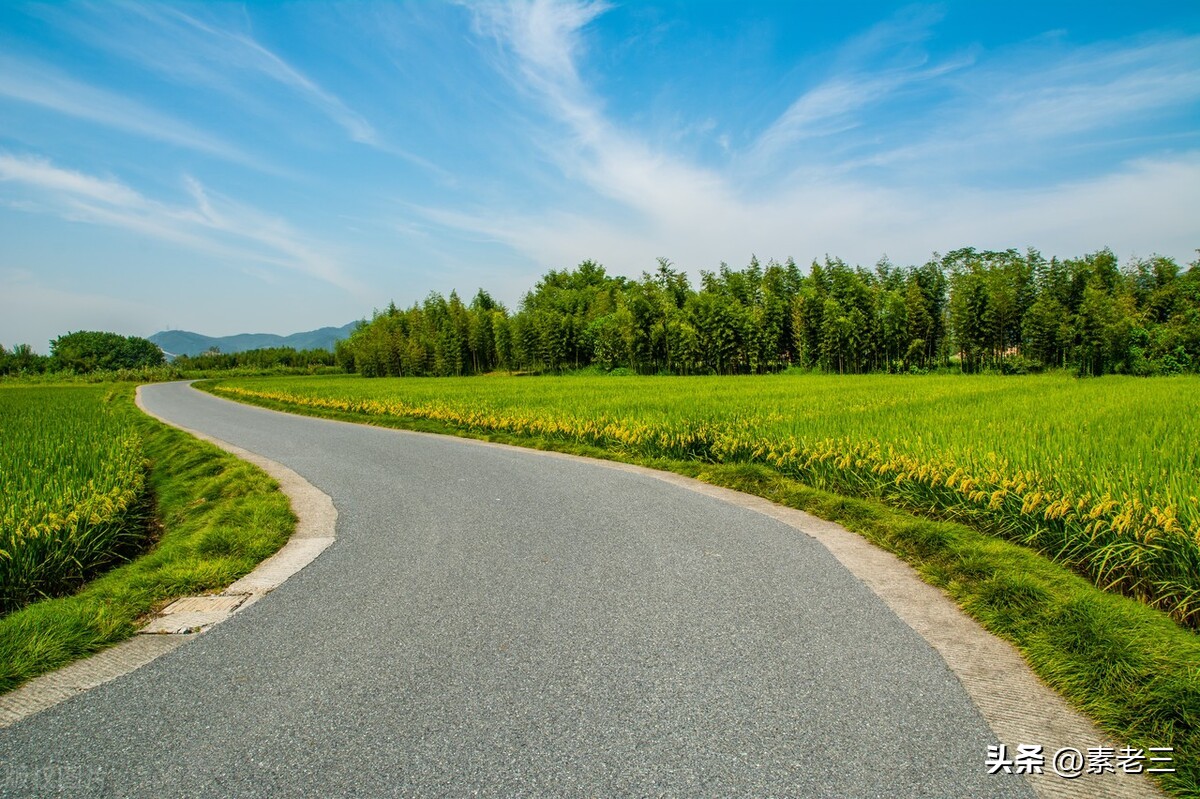 女作家去做保姆336,女作家去做保姆398