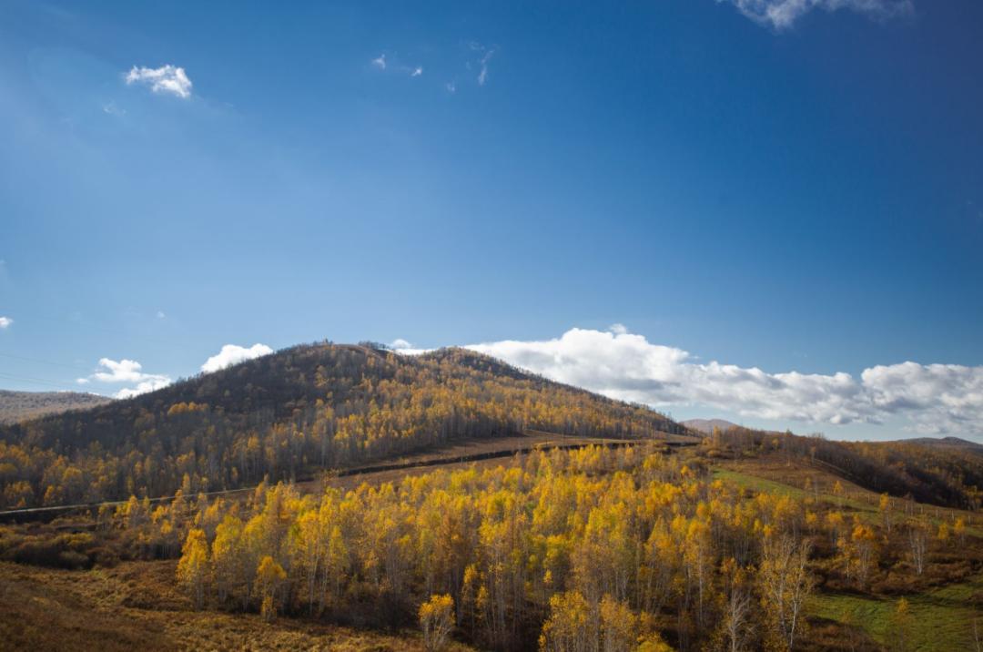 中国呼伦贝尔最大的草原 (呼伦贝尔大草原是世界第一吗)