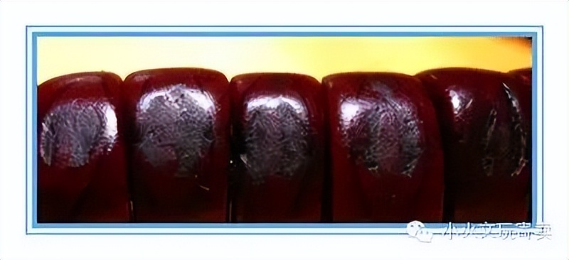 凤眼菩提最好的盘玩方法,多大的凤眼菩提最好