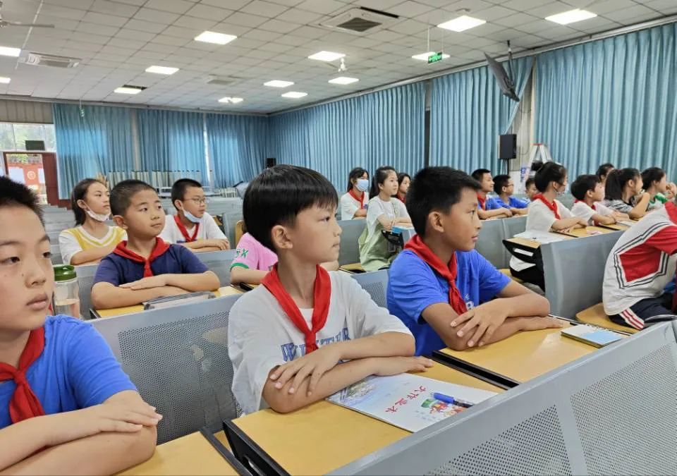 朋辈互助，携手前行｜记南湖小学2022春季学期心理委员期末总结会