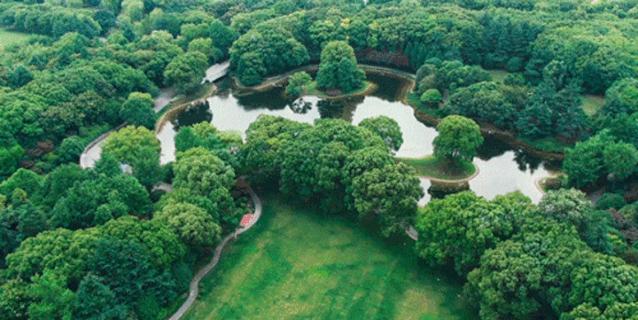 最值得入住的国宾馆推荐,最值得体验的国宾馆