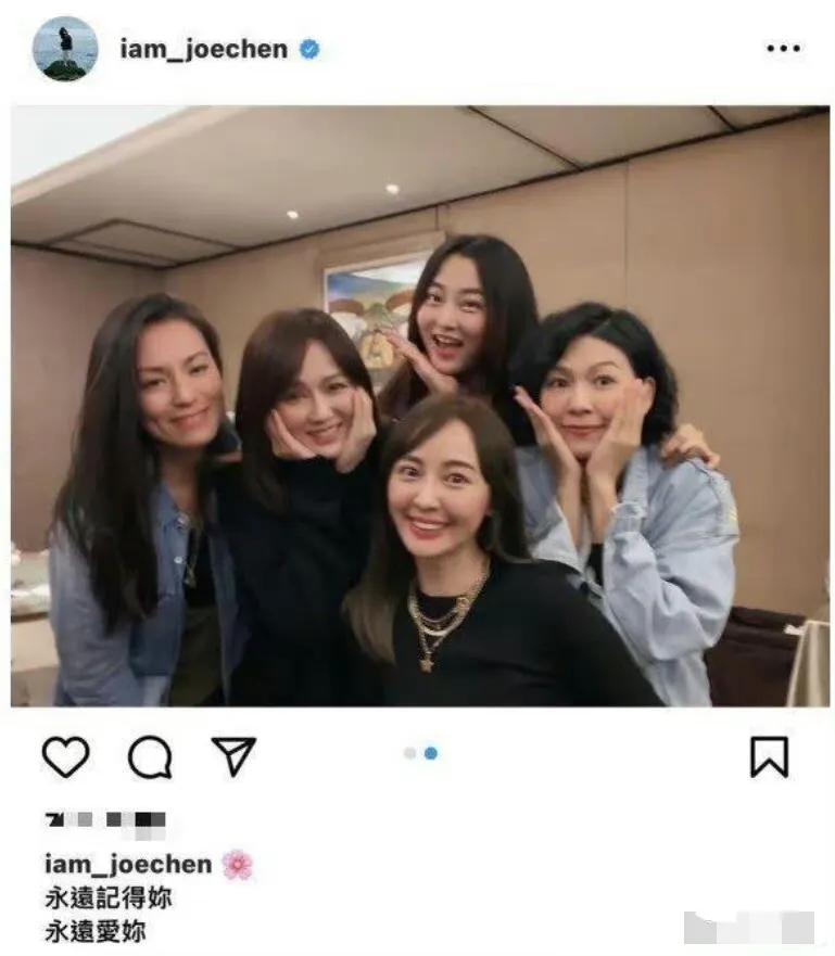 陈乔恩仔仔七朵花,陈乔恩晒七朵花组合聚会照