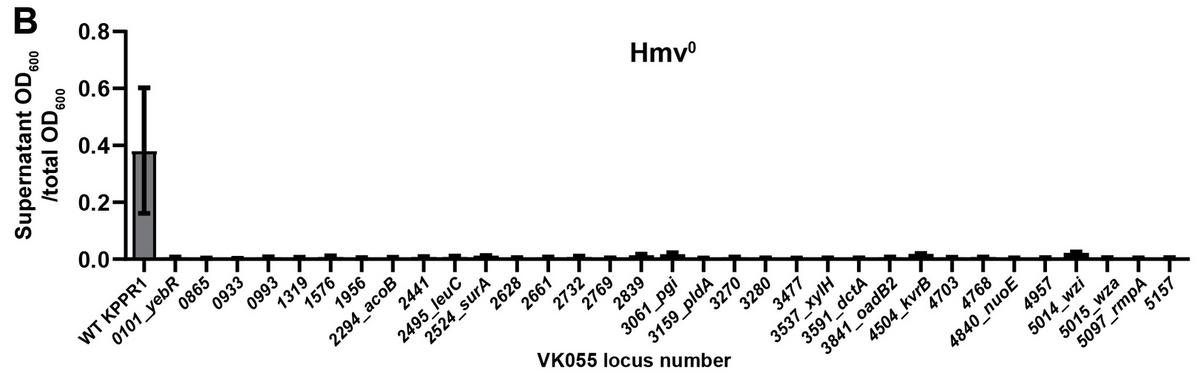 转座子随机插入突变体库——获得新靶点的绝佳方法