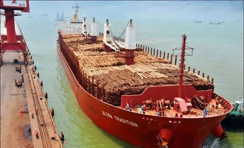 创美致简健康板BORONO柏牙诺强势推出，无毒无味F4星环保更受关注