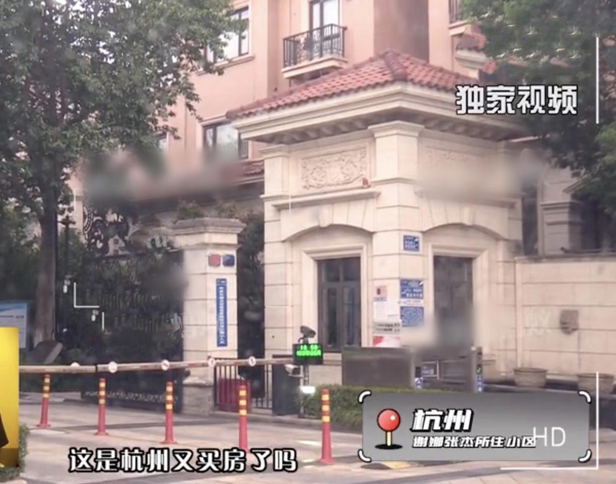 张杰谢娜近期全家福,张杰谢娜带着双胞胎女儿逛商场