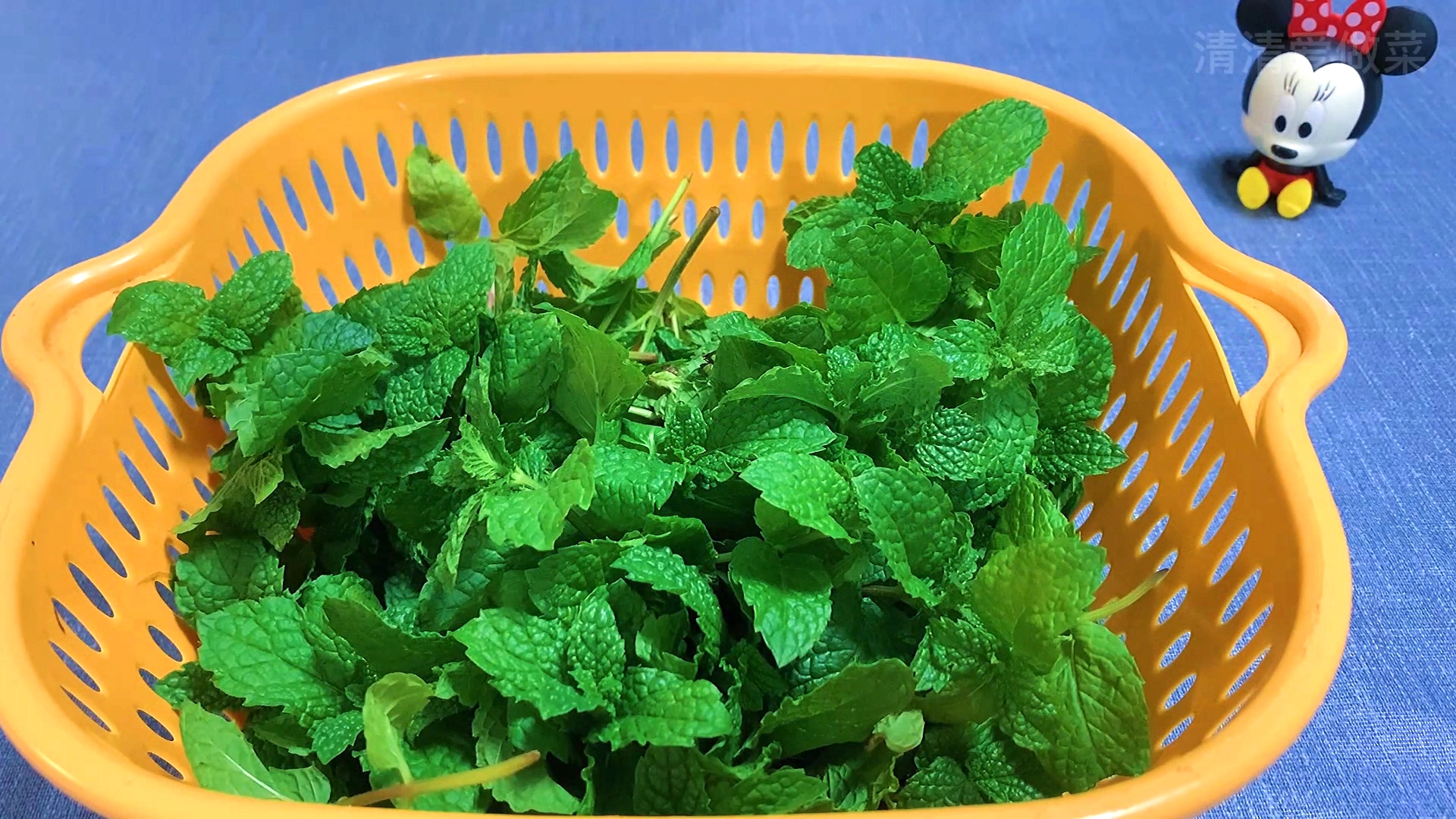 不同种类薄荷的作用和功效有哪些,薄荷种类及功效与作用