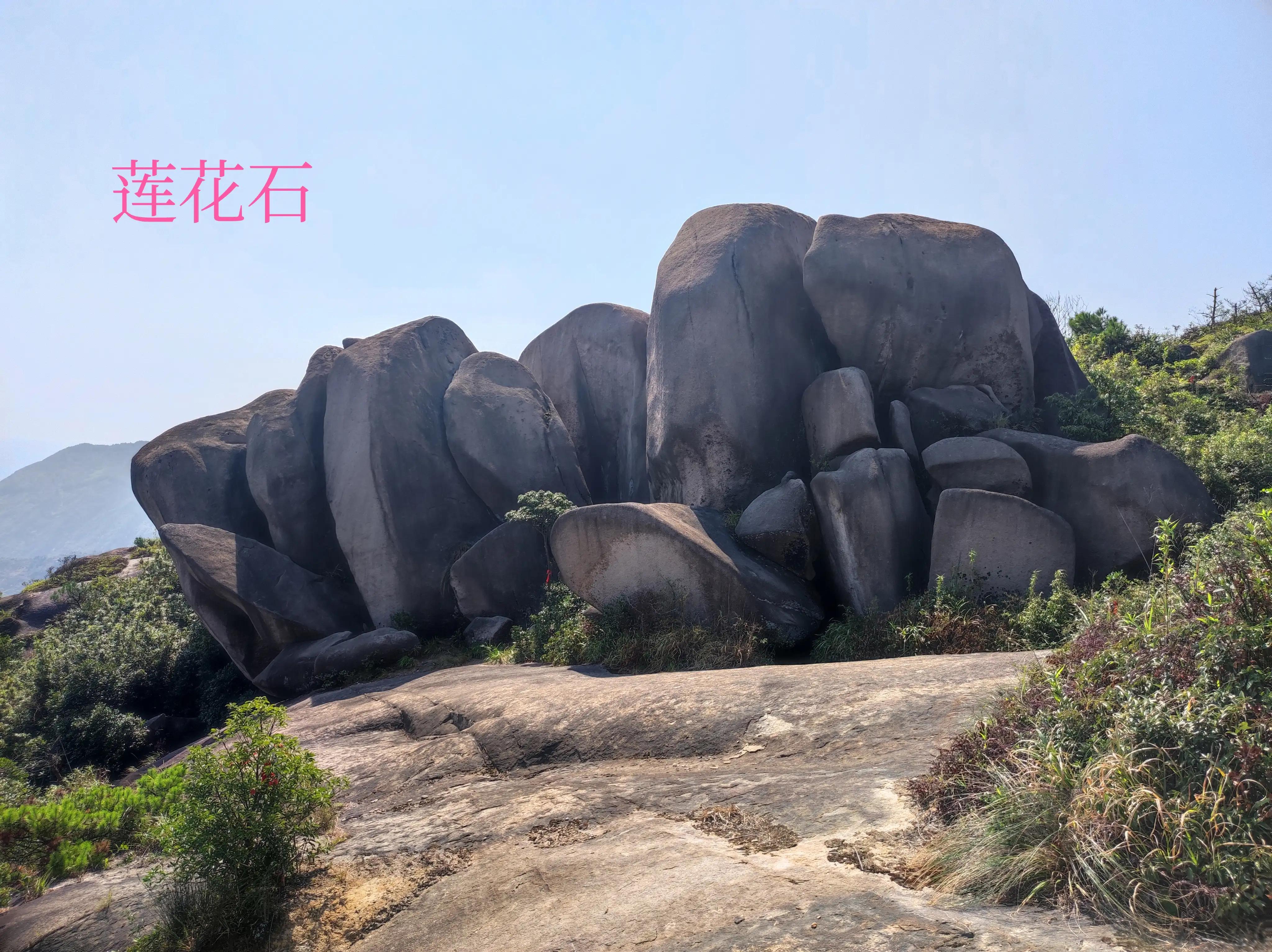 我爱大罗山,大罗山莲花石