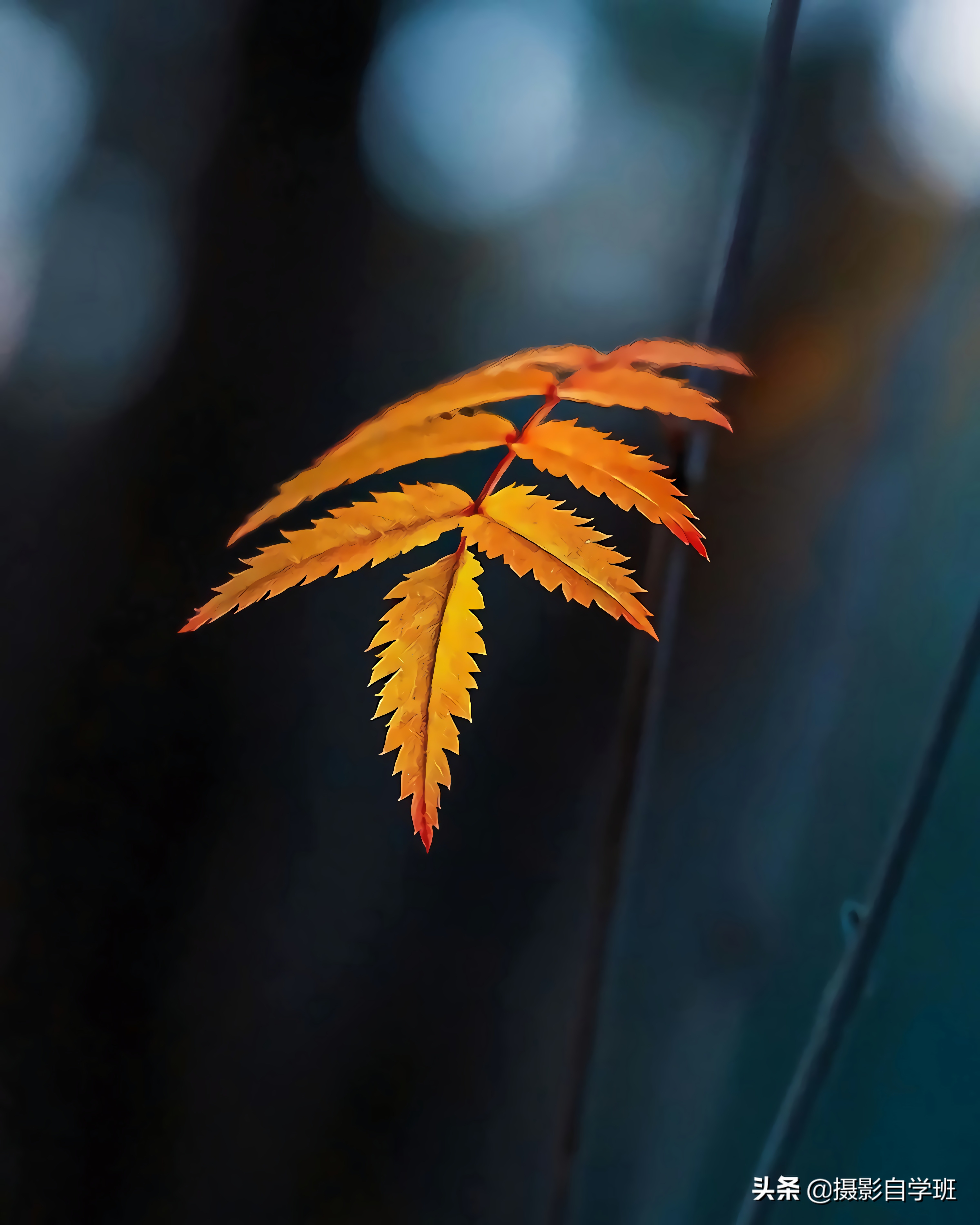 摄影入门教你轻松拍大片,摄影初学学会这几招就能拍美照