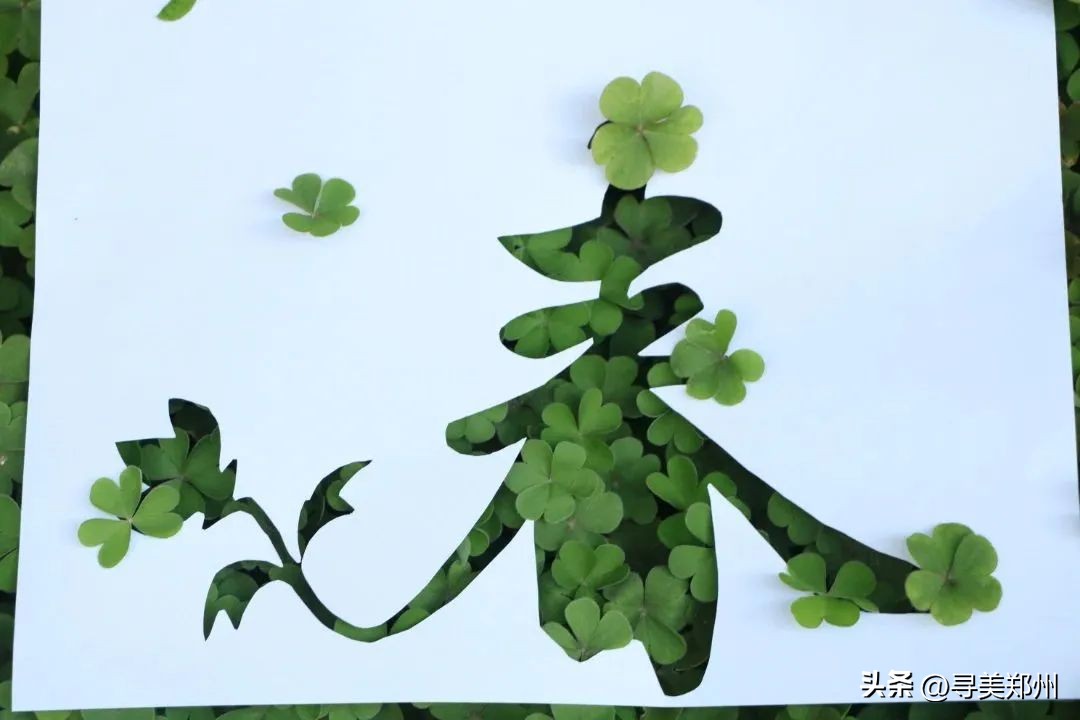 河南科技大学春景,河南科技职业大学校园春景