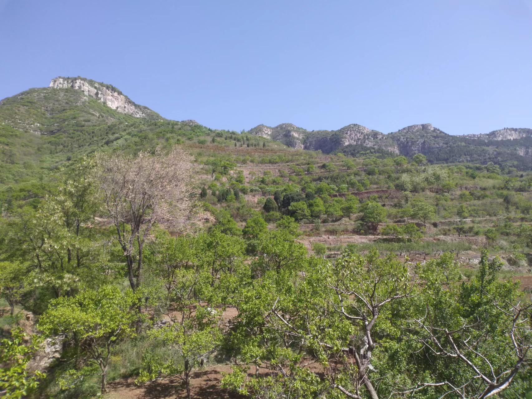 临朐自然美,临朐新美丽