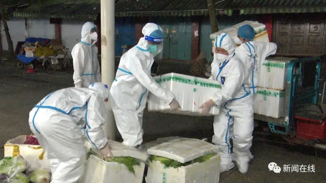 100吨蔬菜,120吨蔬菜