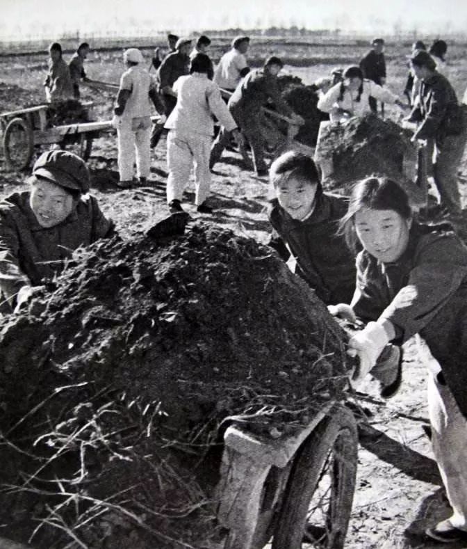 中国人民解放军部队组成部分,解放军通信兵团的序列