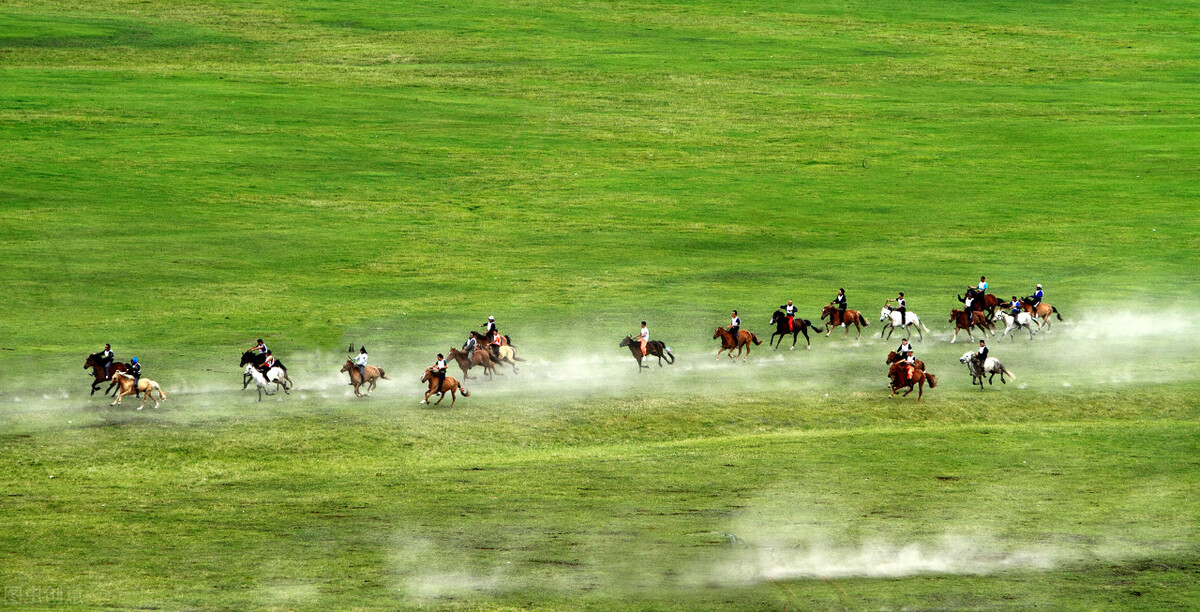 国外最先进的畜牧业,畜牧业大国排名