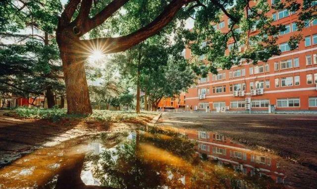 北京外国语大学法学英语双学位,北京外国语大学继续教育怎样