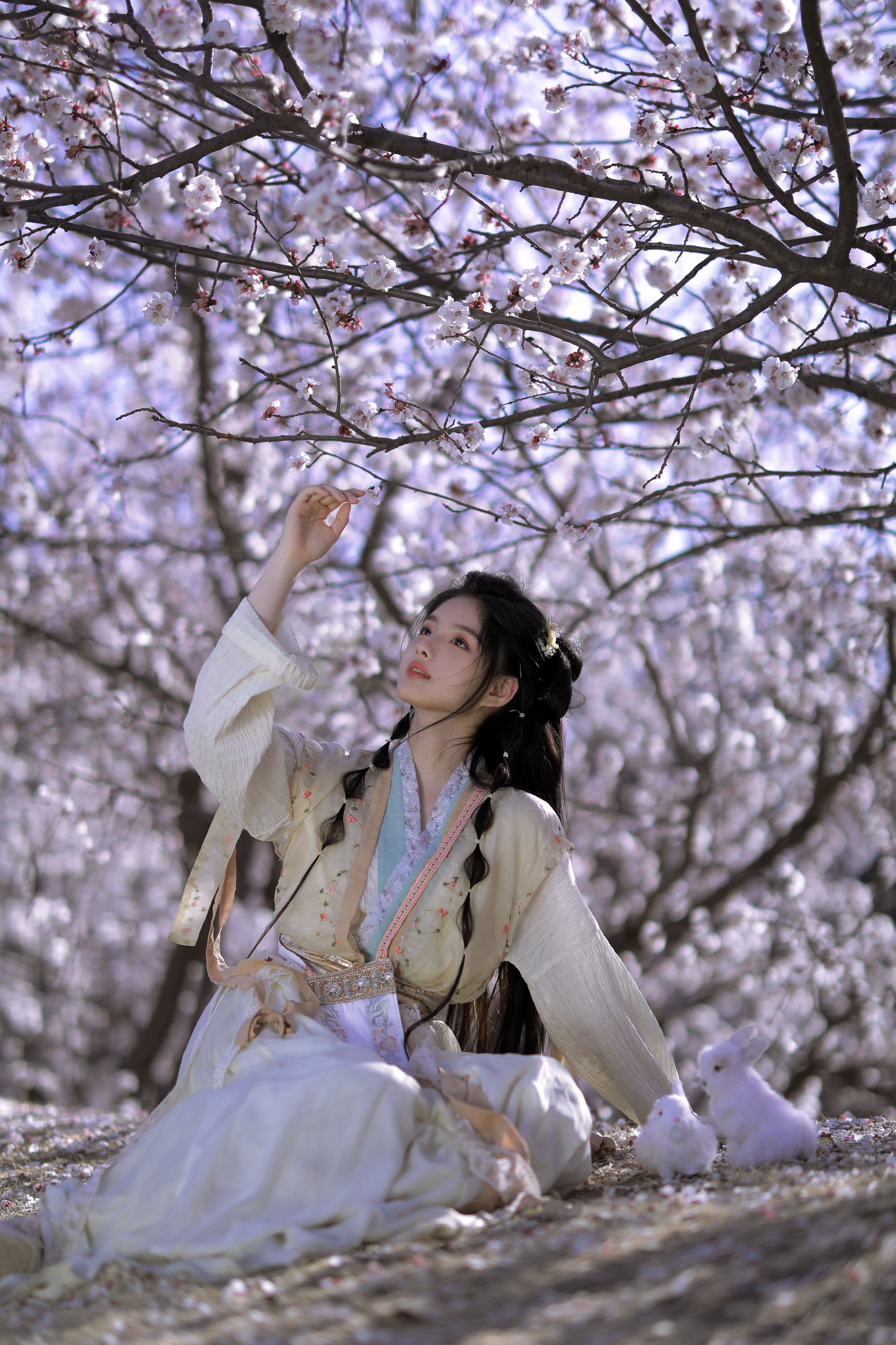 国风如画,国风汉服写真