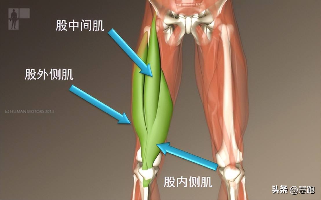 从小白到职业健身选手,从小白到健身一年的变化