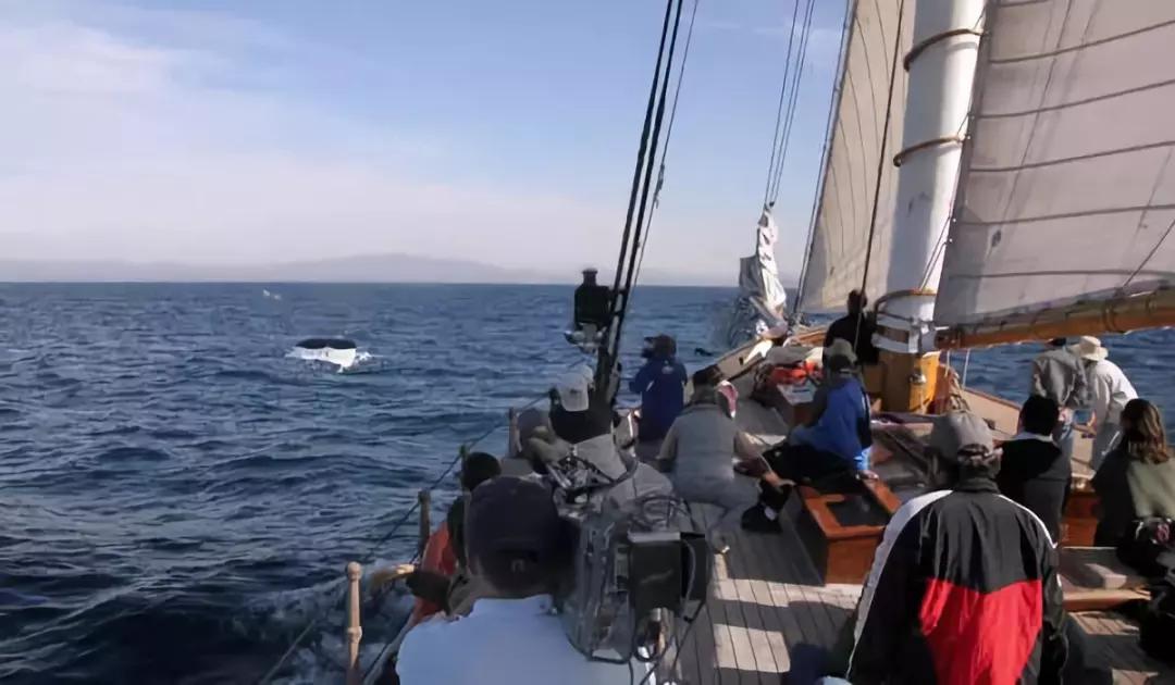 出海晕浪怎么办,如何克服潜水晕船