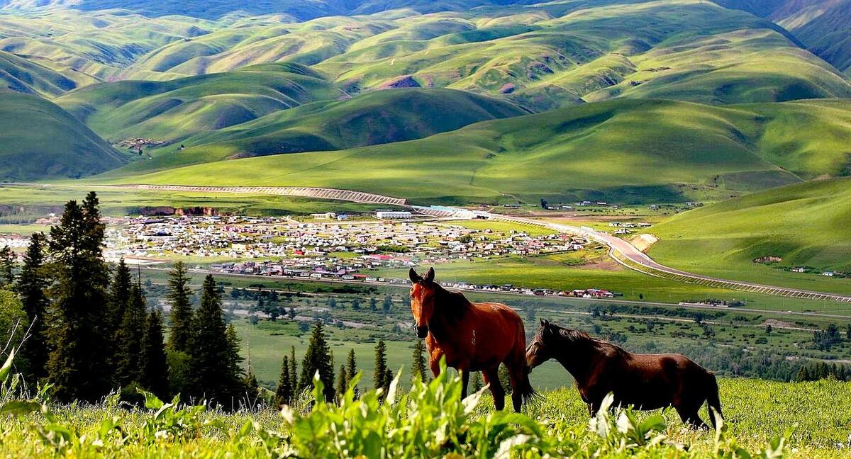 全新疆最美丽的地方,出疆旅游的地方有哪些