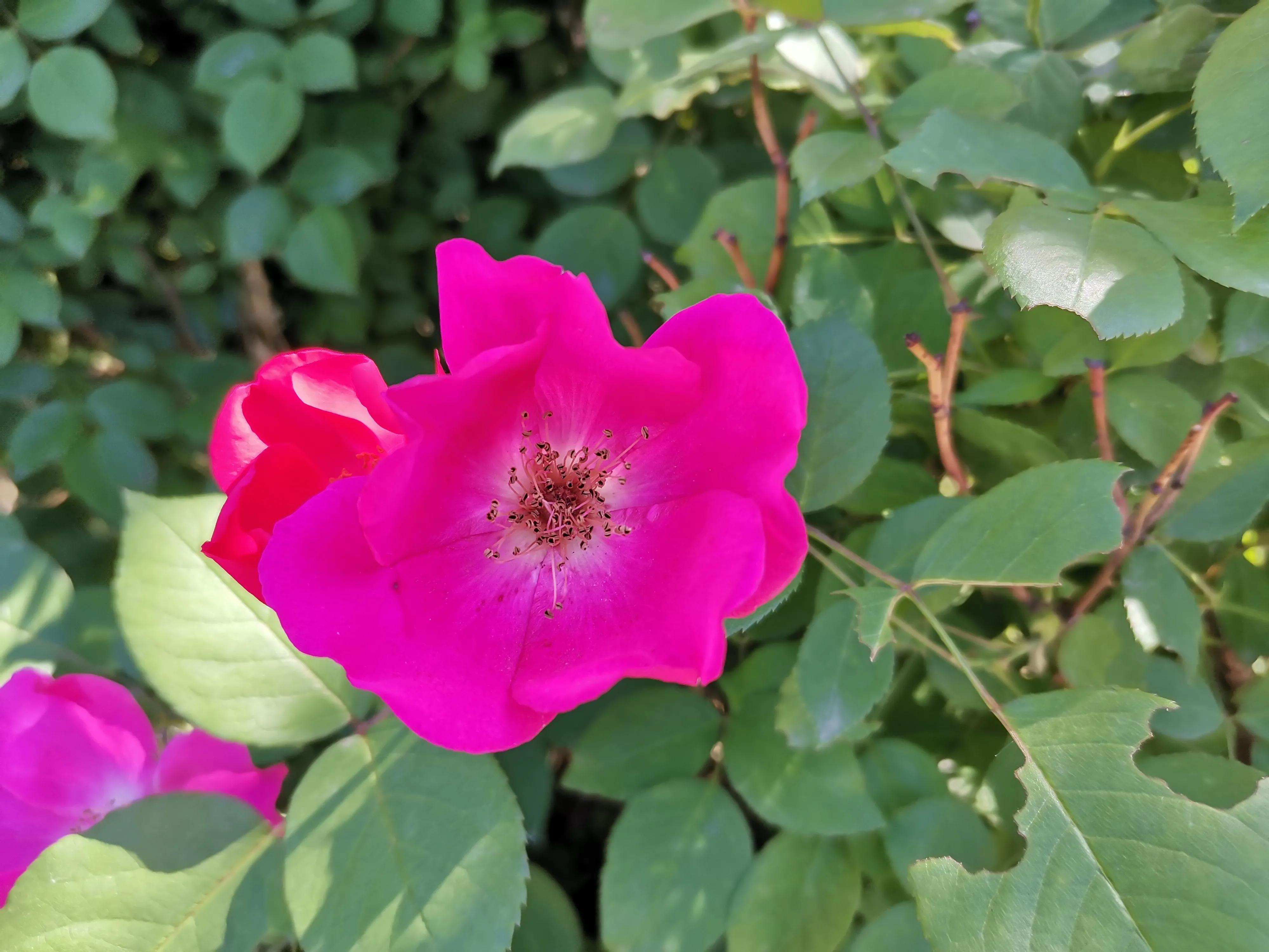 王串场公园有什么,王串场公园地图