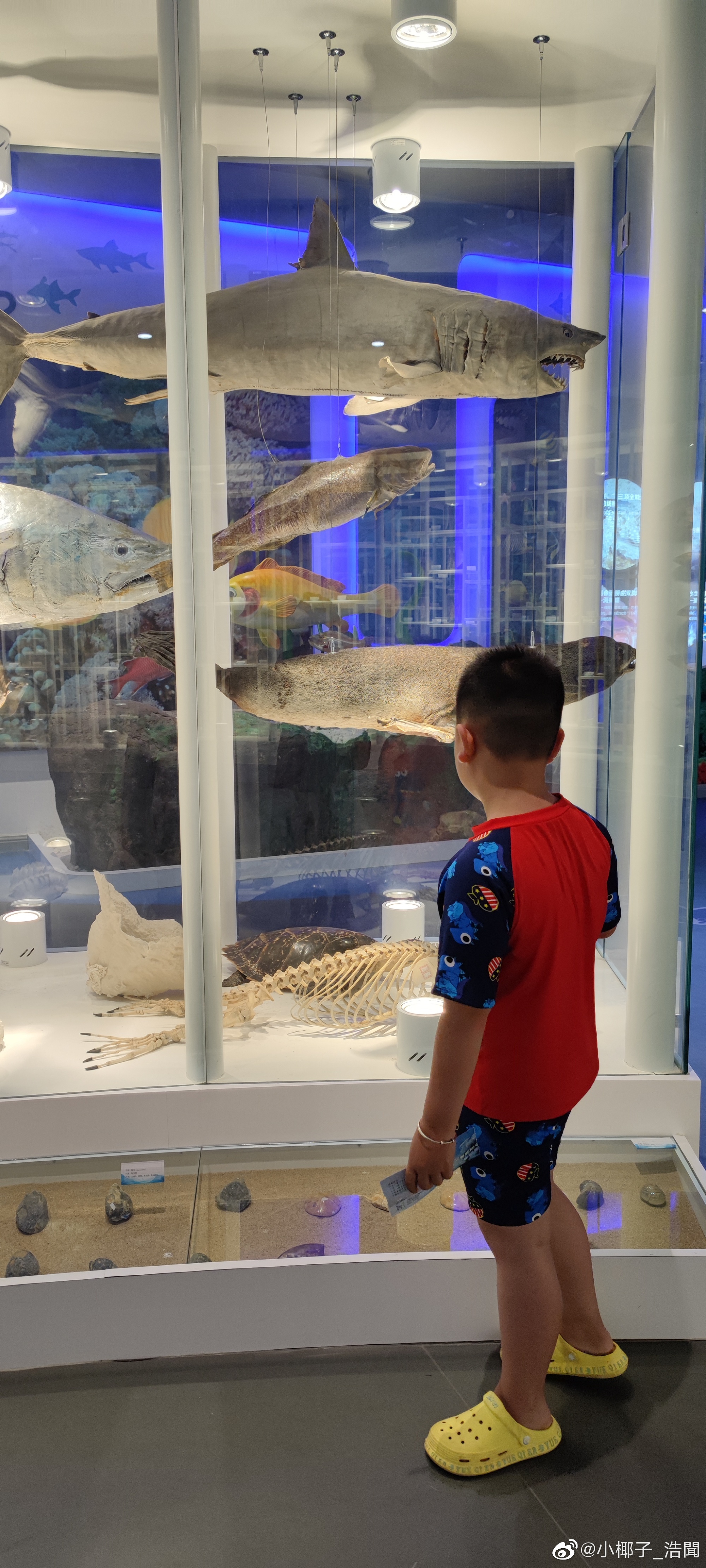 暑假十天山东半岛沿海亲子自驾游记，有详细花费记账