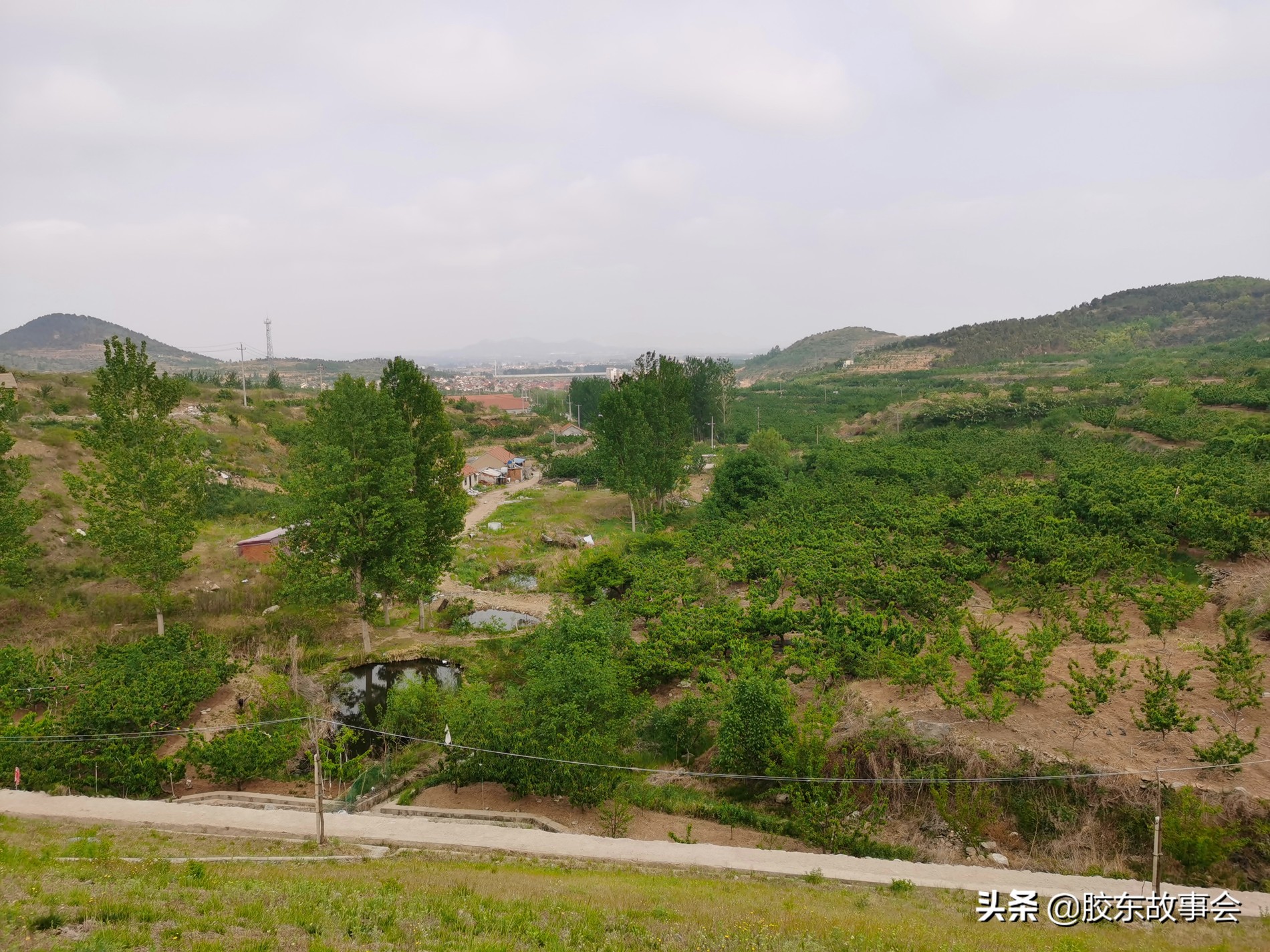 老福山县,牟平老福山