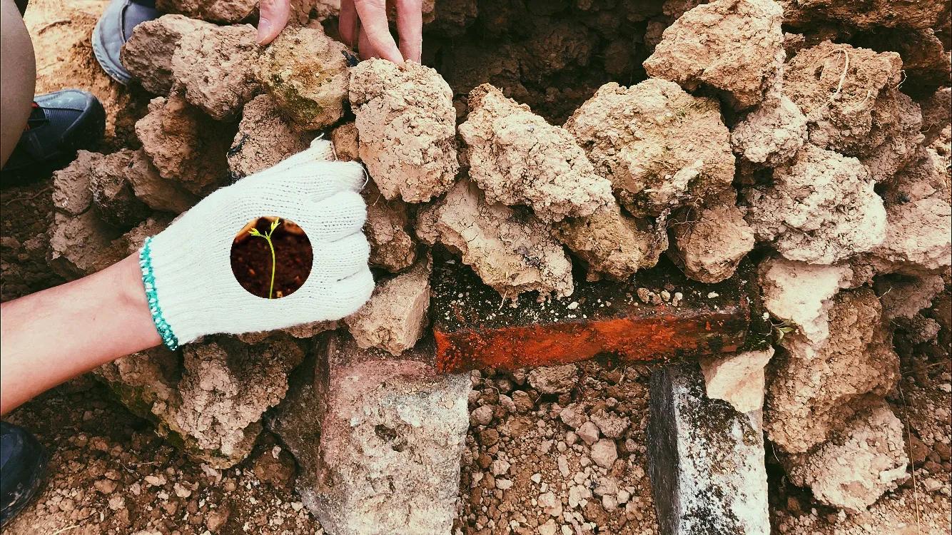 逃离都市，来场“造窑烩鸡”