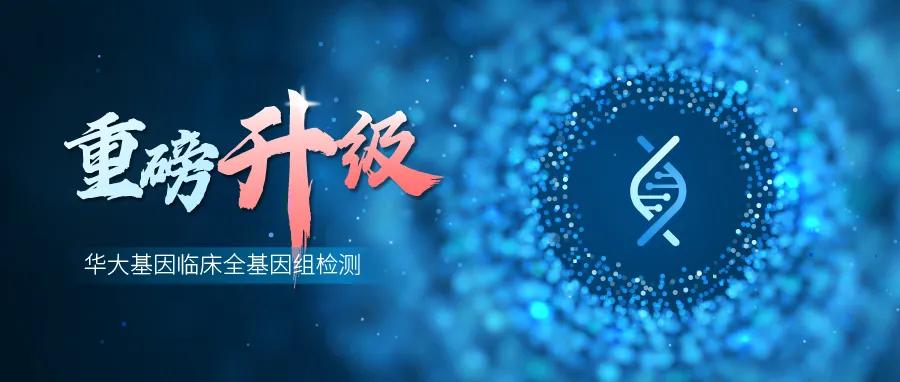 华大基因精准检测方面,华大基因检测方案发布会