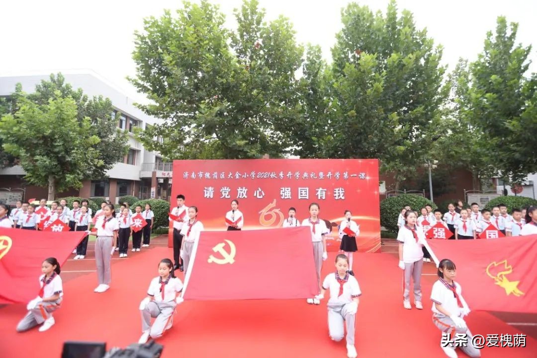 济南市槐荫区大金小学,济南大金小学