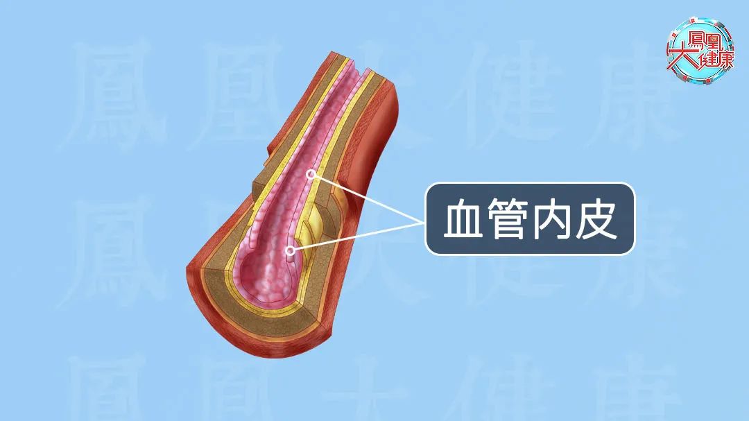 它是人身上的天然防血栓药！毛豆花生搭配一种海鲜就能激活它！