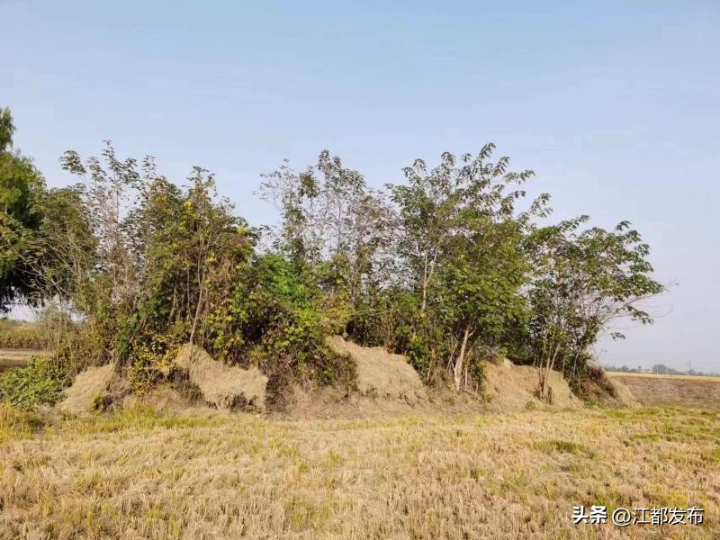 邠州城外,邠州城外是故乡