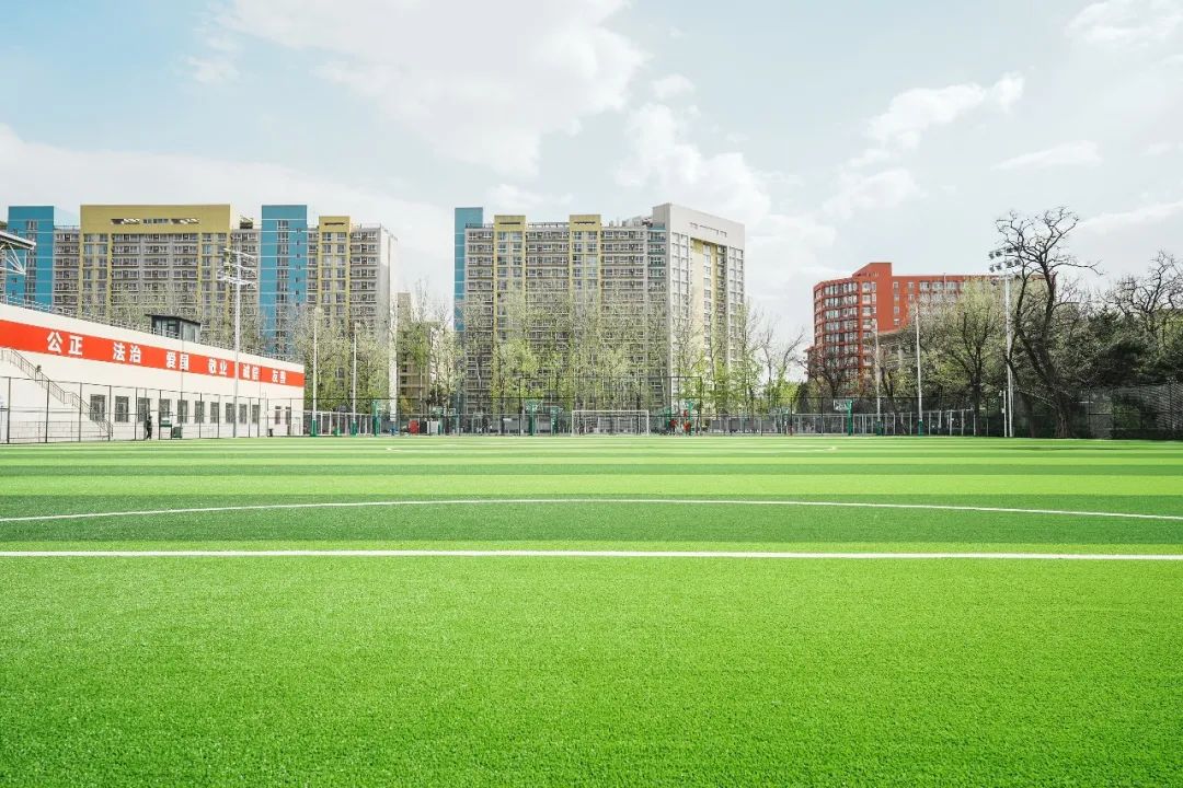 最新足球场改造消息,足球场升级改造