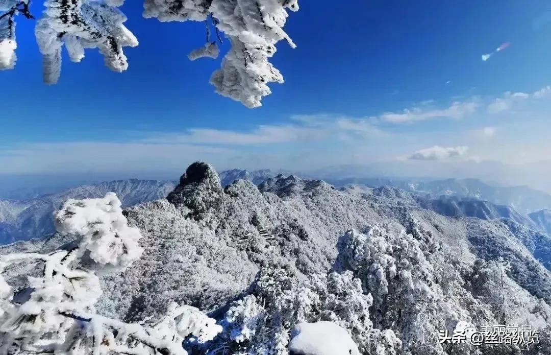 当美景妙图遇见善行义举