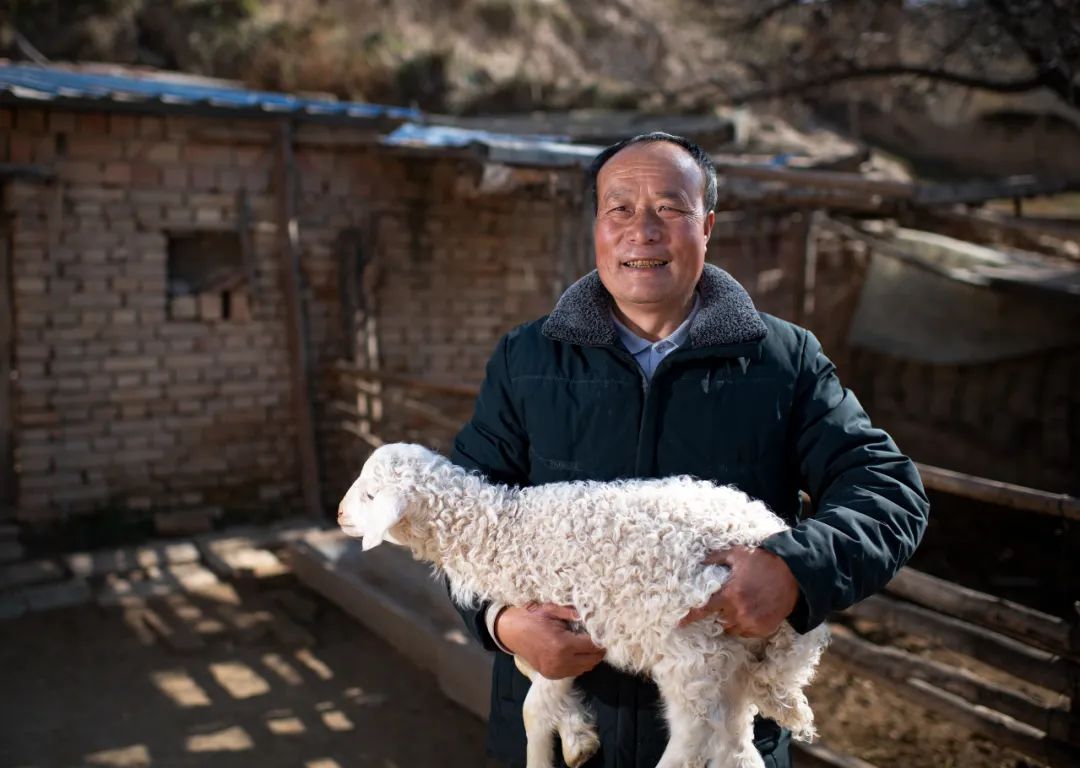 文学，西海固人的精神图腾