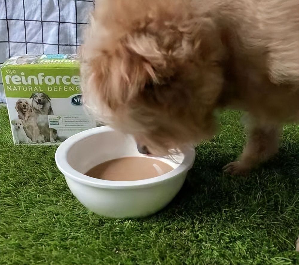 猫咪绝育后营养膏吃多少,猫咪绝育后可以吃营养膏吗