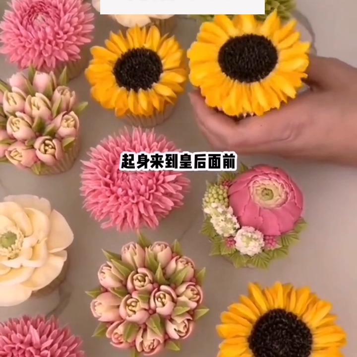 花落帝宫,花落紫禁城意思