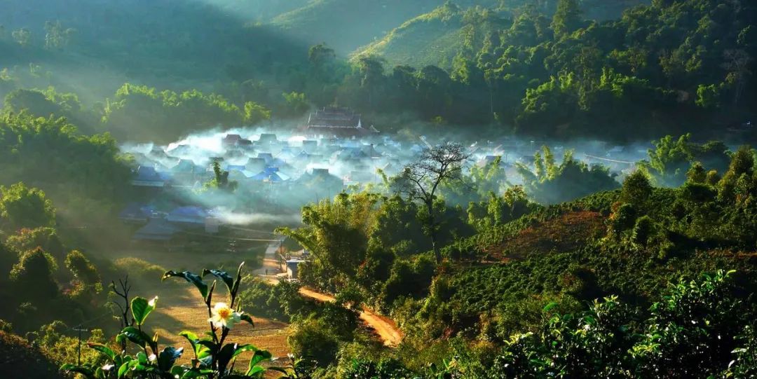 普洱茶各大山头的特性和口感图文,普洱茶老茶头的口感特点有哪些