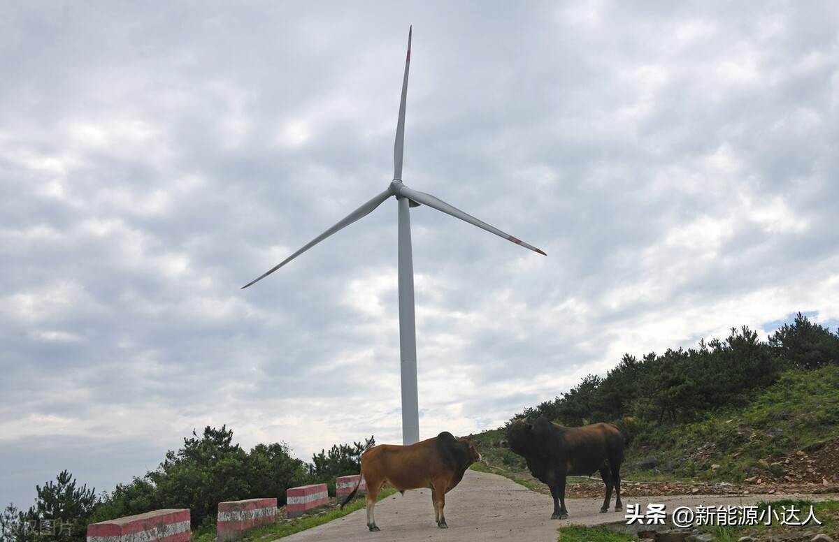 中节能甘肃风力发电公司招聘,中节能靖远风力发电有限公司招聘