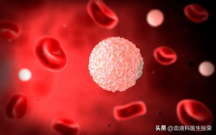 白细胞数偏高的临床意义,白细胞计数增高预示着什么