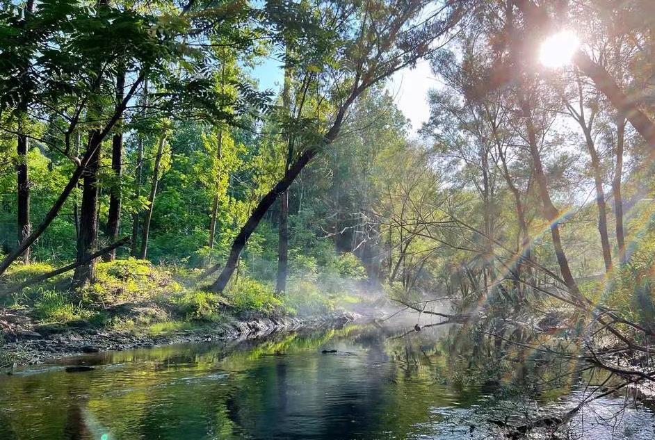 首席消费官：Luneurs回应宝马MINI冰淇淋事件罗麦被罚13万