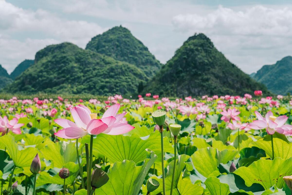 男女暧昧的具体行为有哪些,男女之间哪些行为可以断定是暧昧