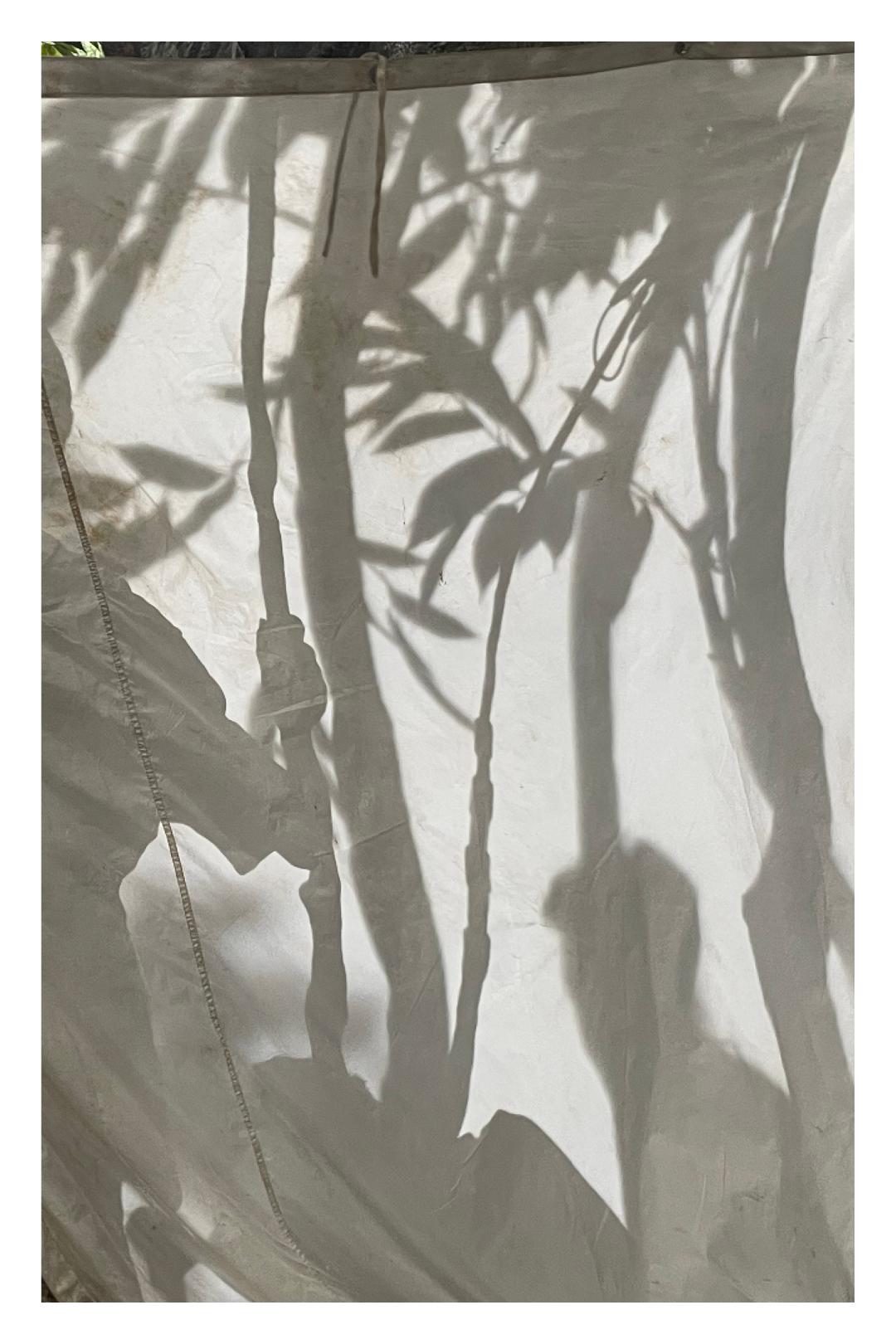 侯明昊最近在横店拍戏吗,侯明昊横店最新路途