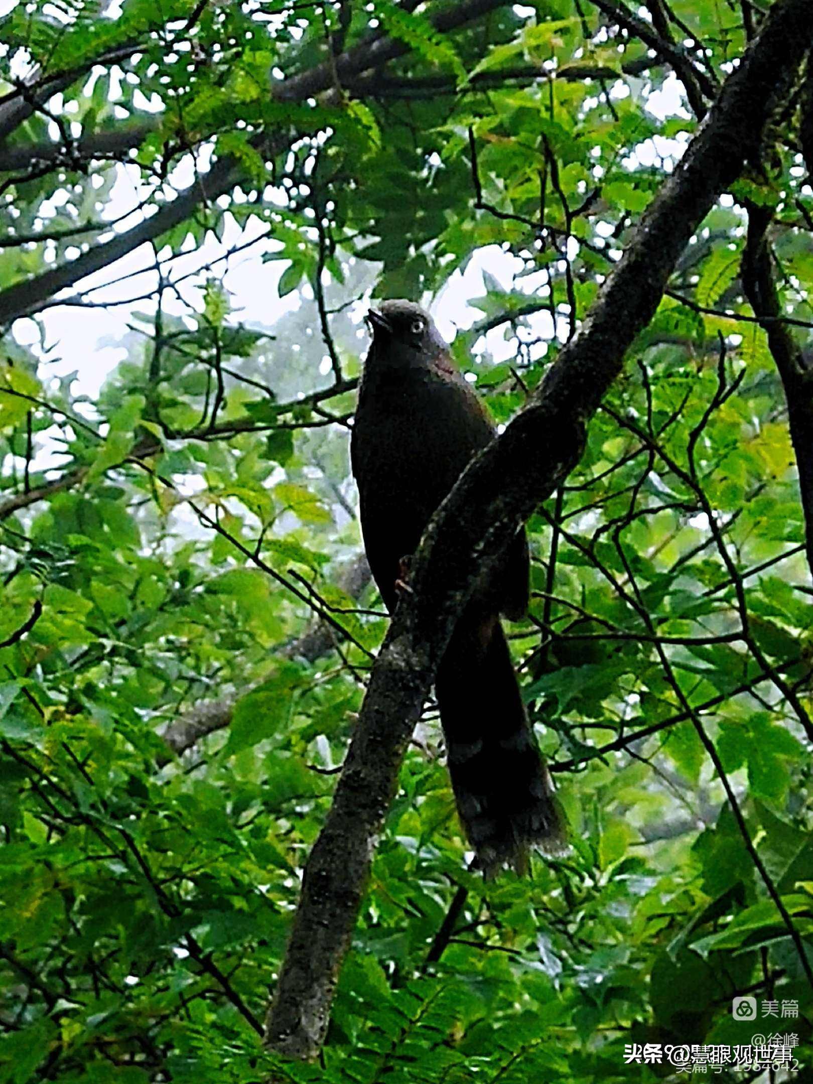 中高考必考古诗词,中高考必背古诗词朗诵