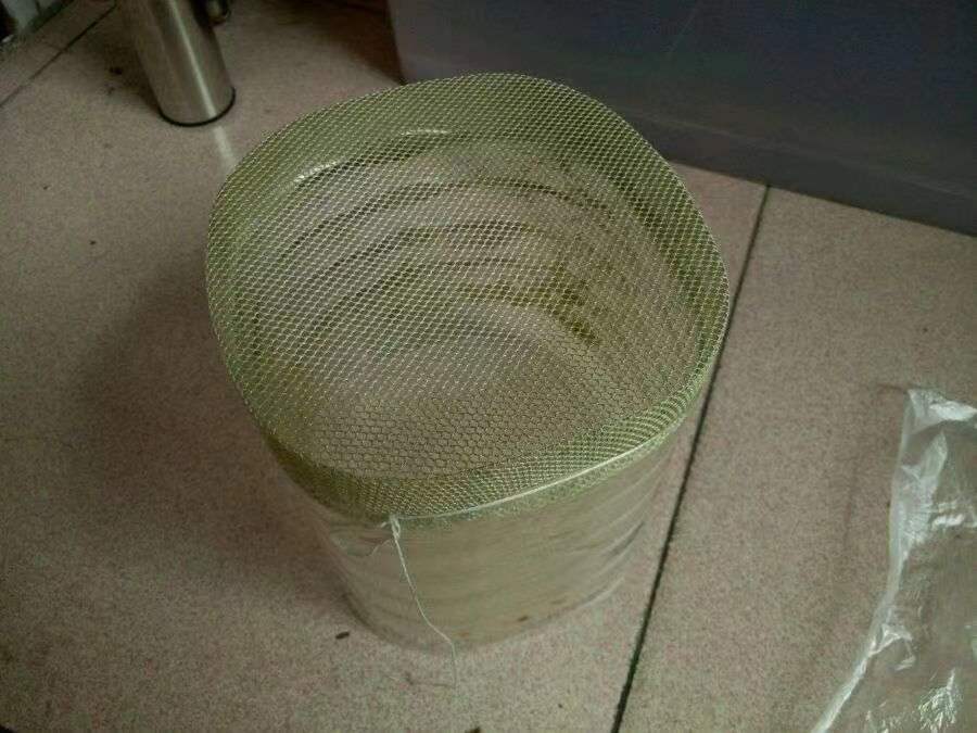 原生的斑马鱼会长蝶翼吗,原生斑马鱼会跳吗