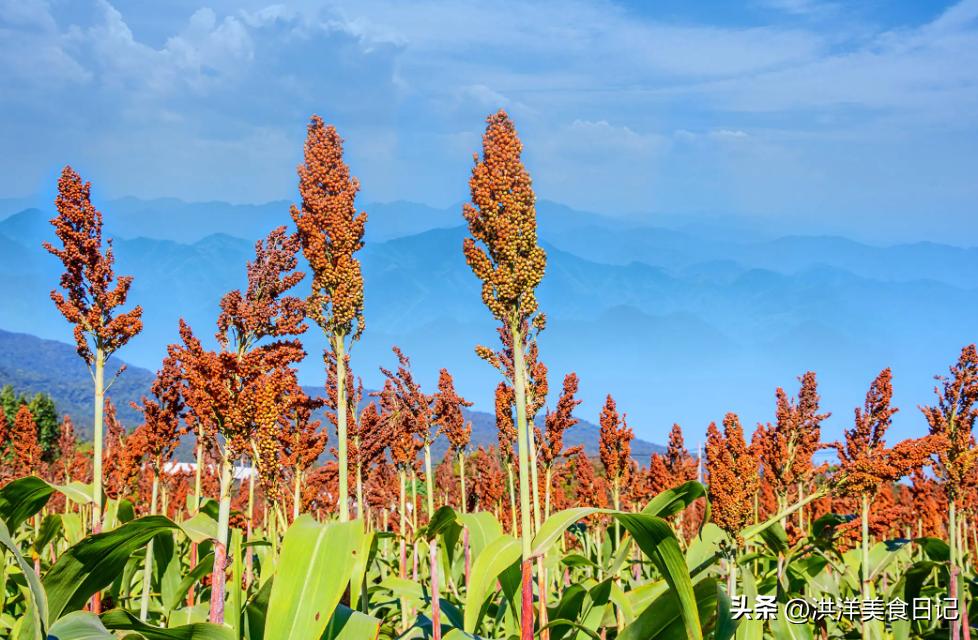 广东人酒桌上为何喜欢喝平价酒,玉冰烧广东4大名酒