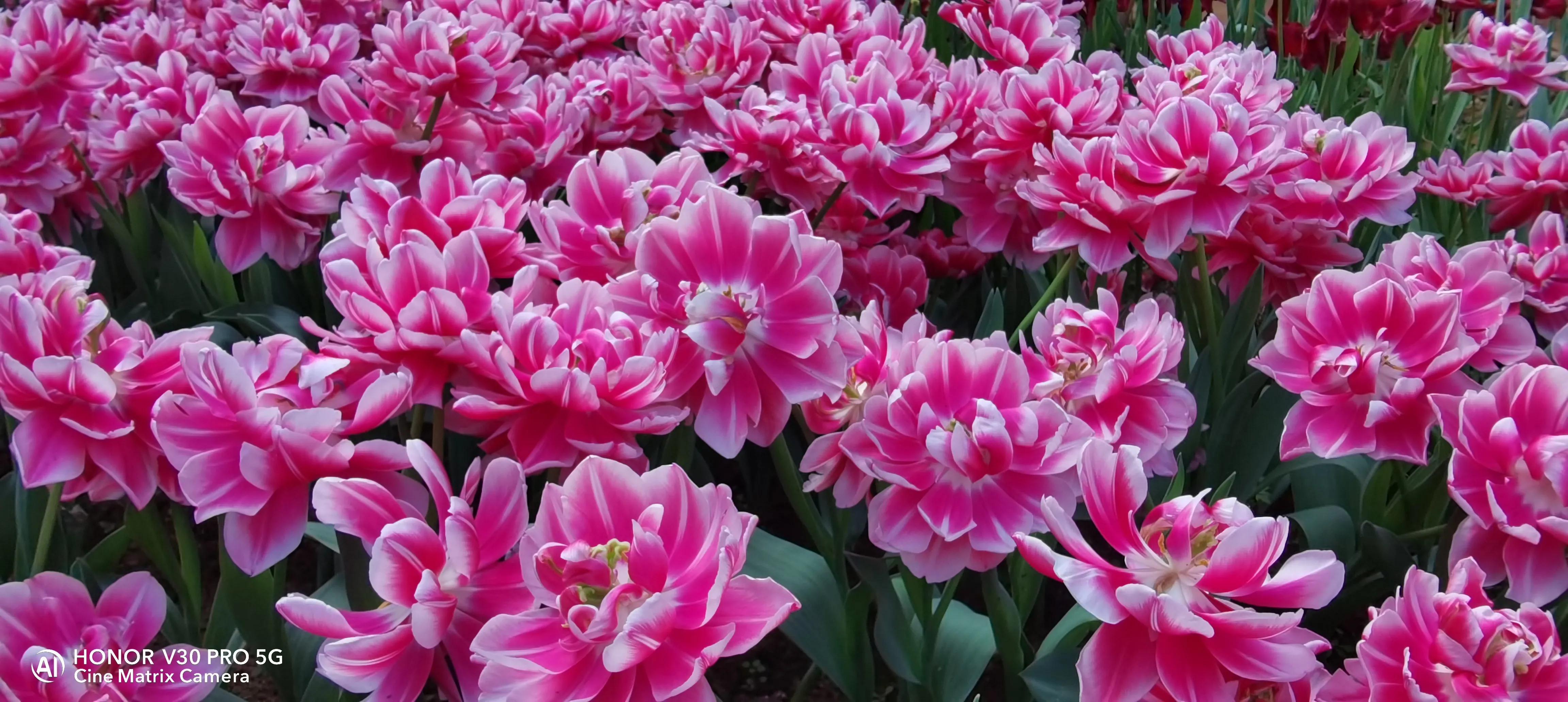 吹牛要交税多少,吹牛要不要交税