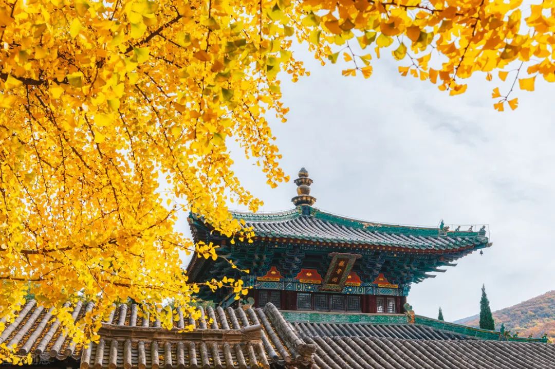 抑郁症如何自我心理暗示,抑郁症怎样克服心理恐惧