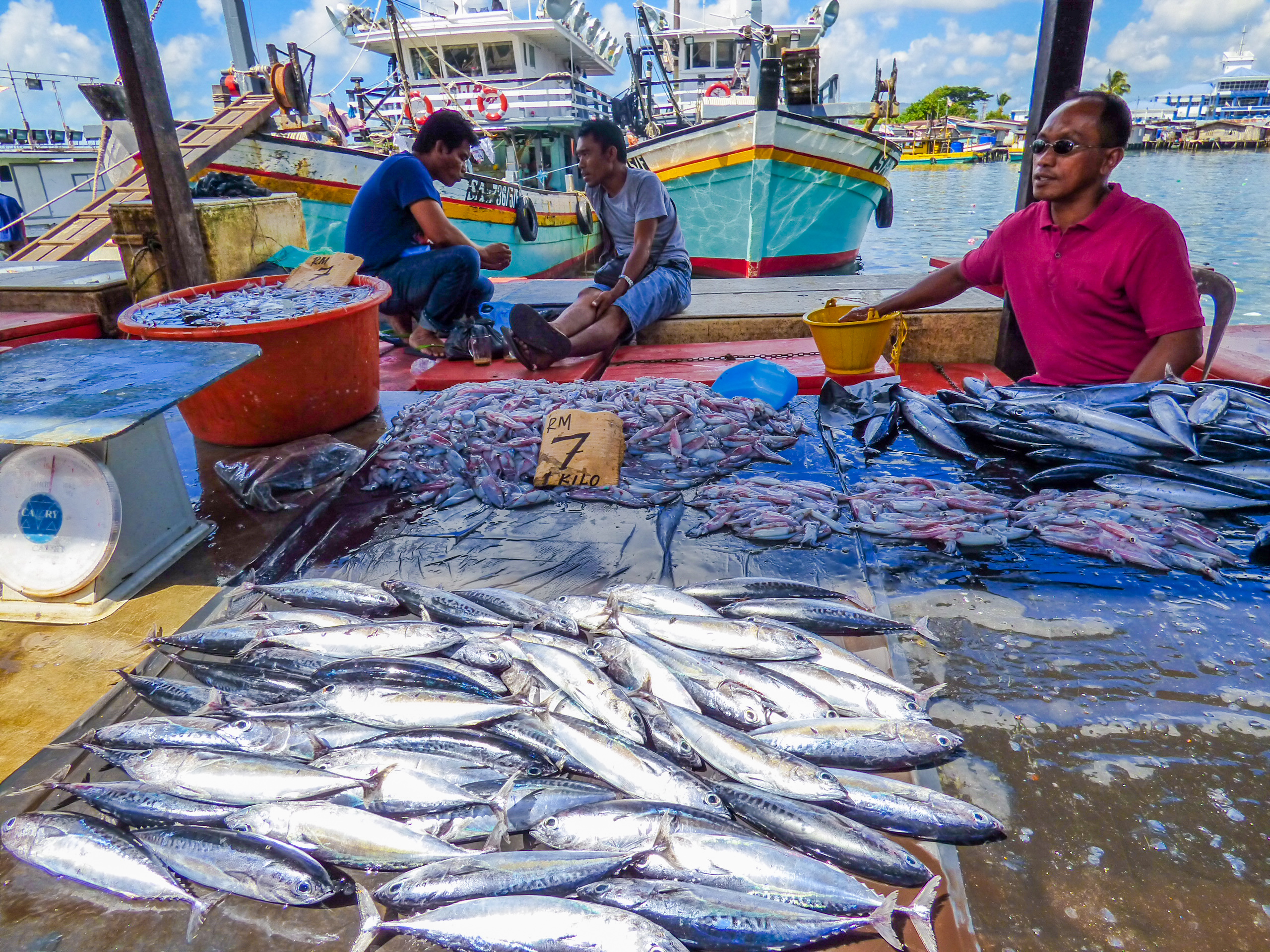 马来西亚仙本那海底,潜水马来西亚仙本那