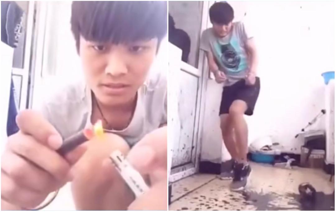 网红辛巴抖音事件,抖音第一网红辛巴